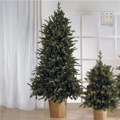 ABETE LED H.180 CON VASO
