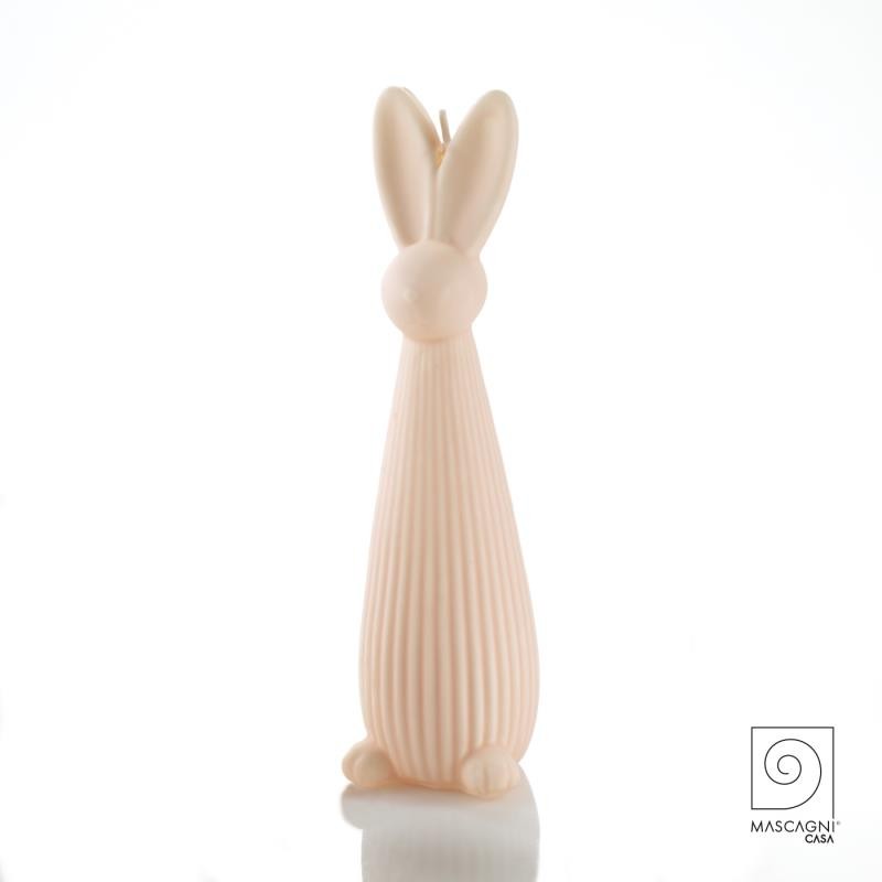 CANDELA CONIGLIO H.18