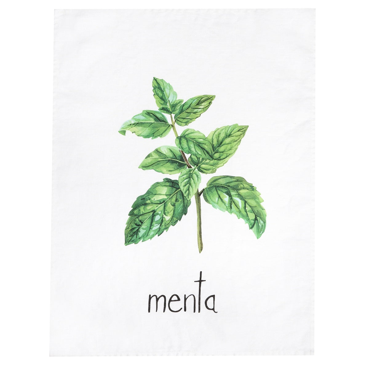 CANOVACCIO 50X70CM MENTA