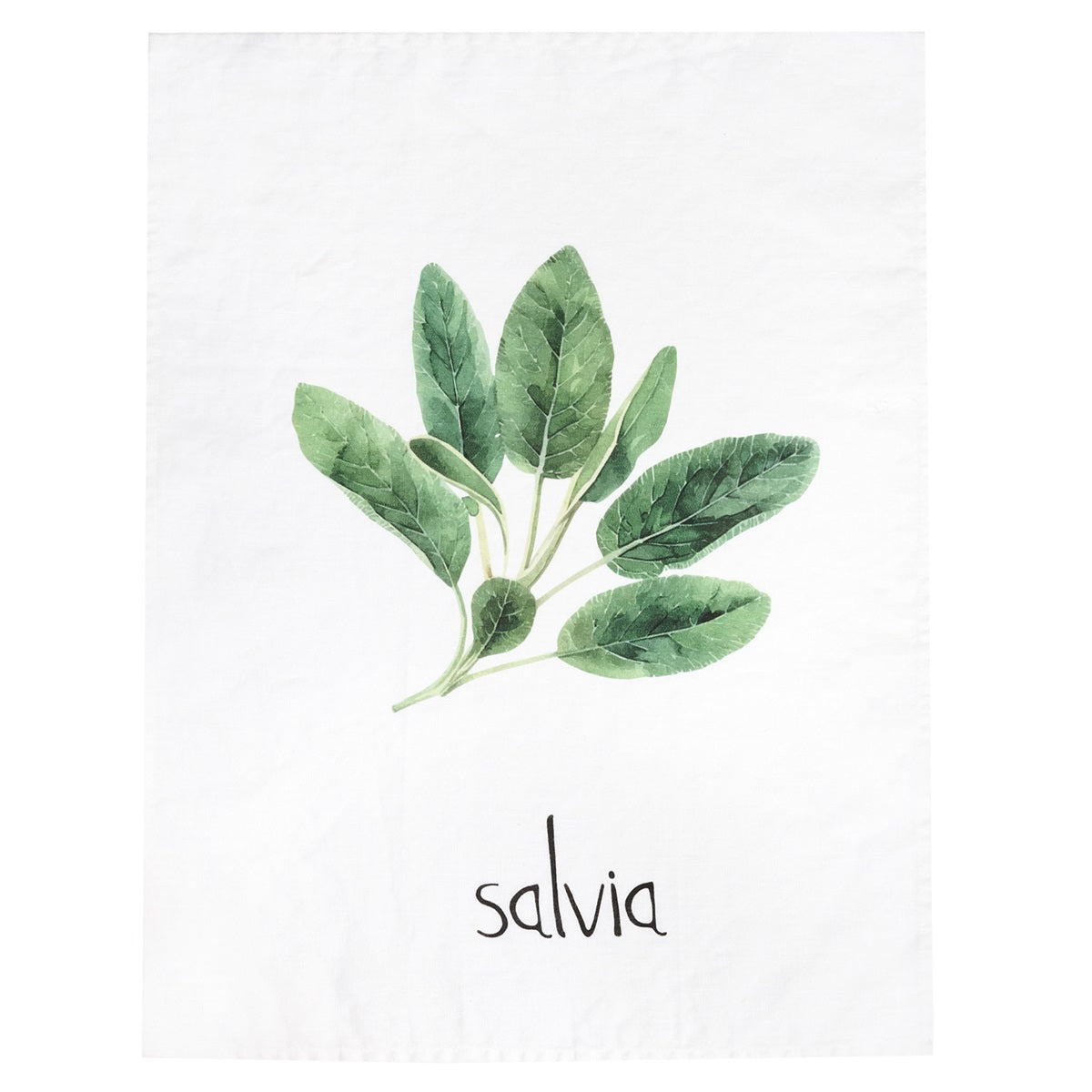 CANOVACCIO 50X70CM SALVIA