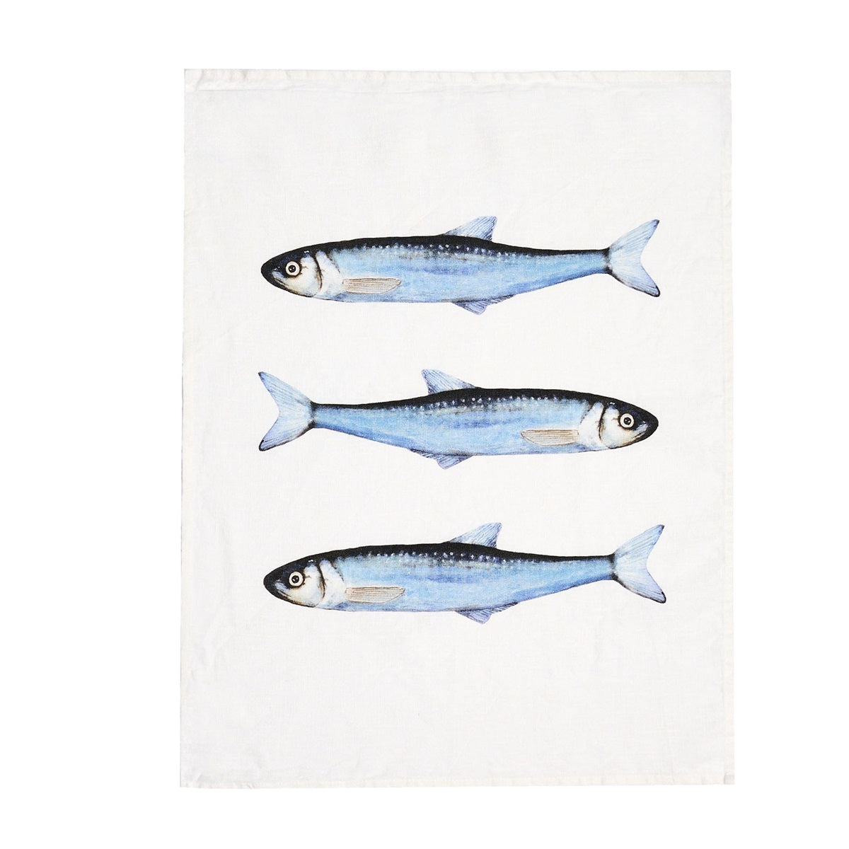 CANOVACCIO SARDINE 50x68CM