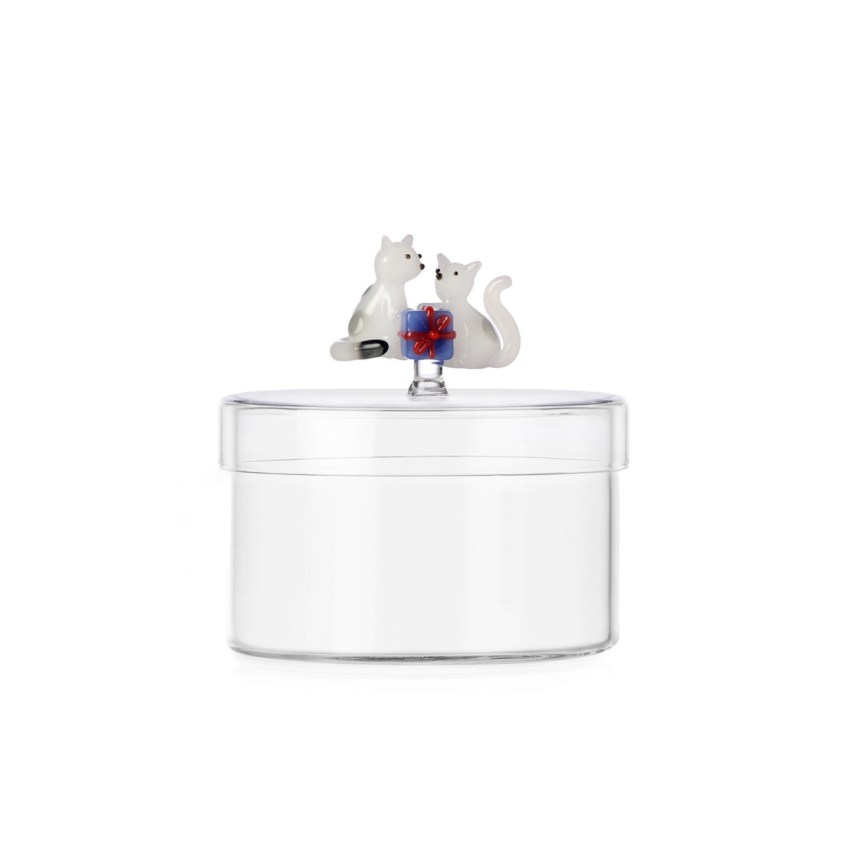 TABBY CAT CHRISTMAS EDITION scatola gatti bianchi con regalo azzurro