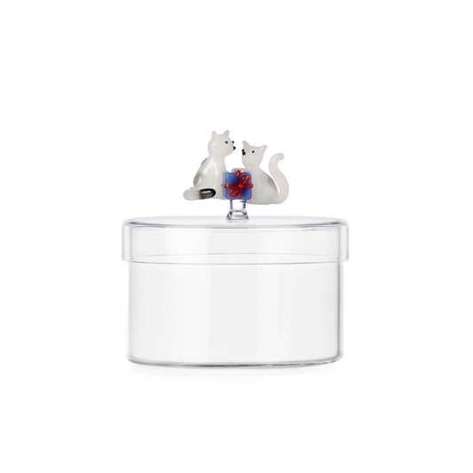 TABBY CAT CHRISTMAS EDITION scatola gatti bianchi con regalo azzurro