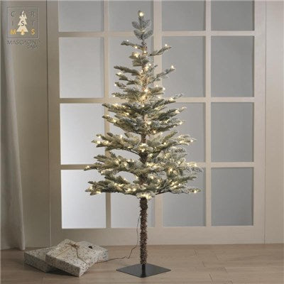 ABETE LED H.160