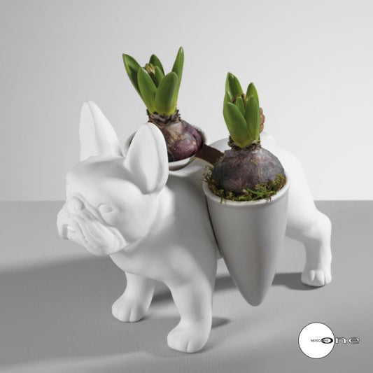 DOPPIO VASO BULLDOG H.19,9