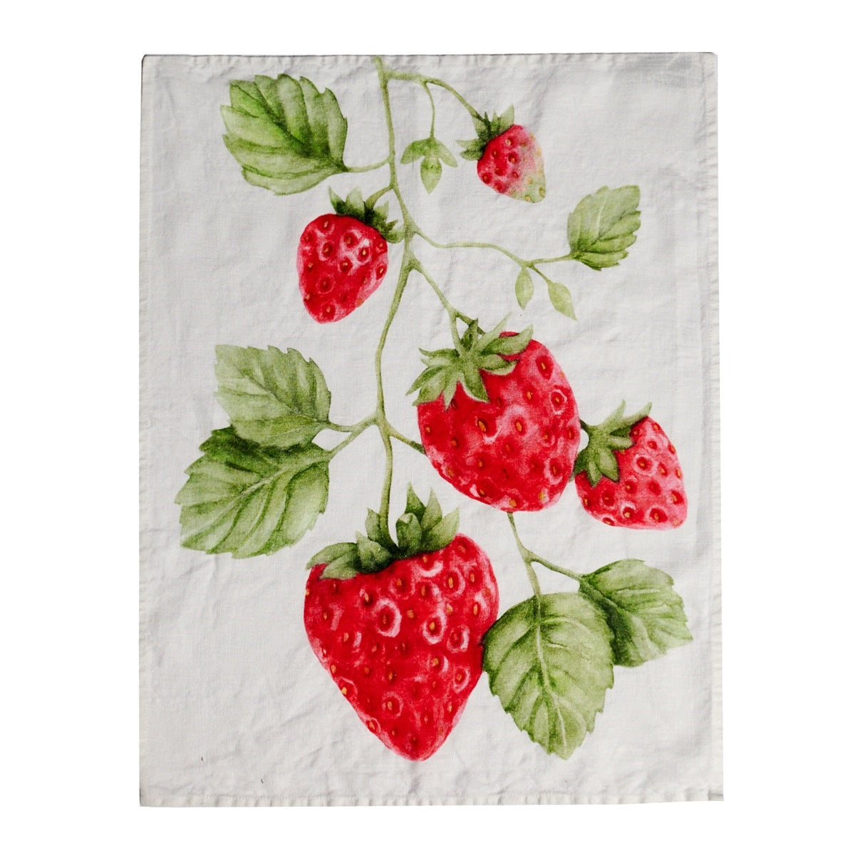 CANOVACCIO 50X68 BCO FRAGOLE