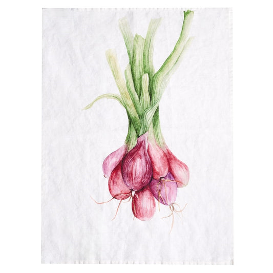 CANOVACCIO CIPOLLOTTI 50X68