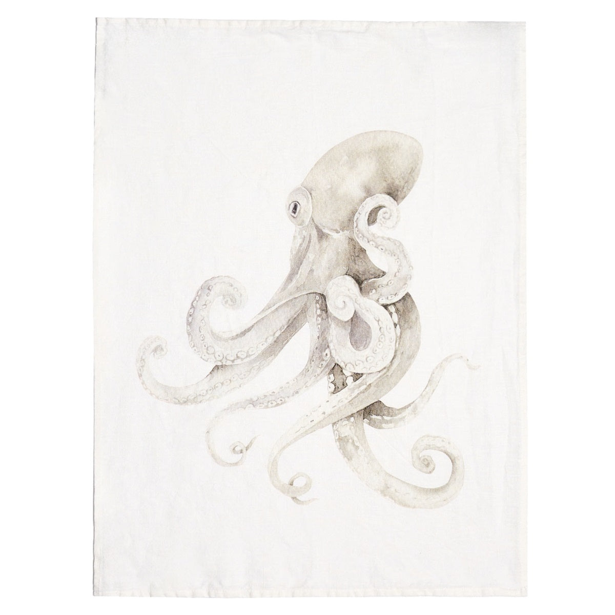 CANOVACCIO POLPO 50x68CM