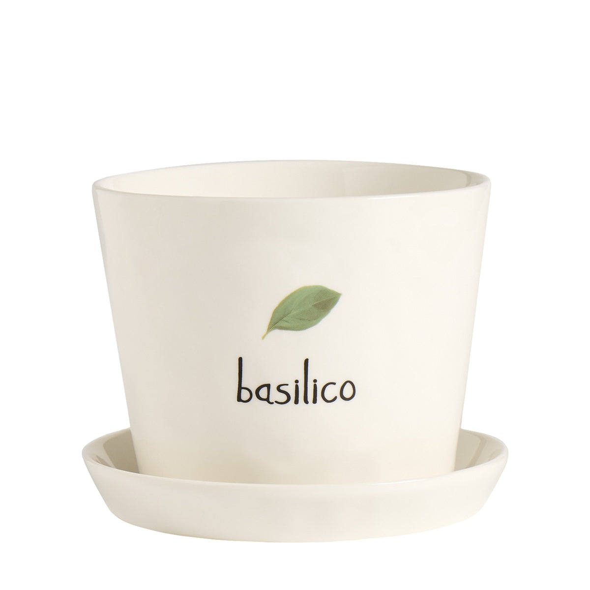 VASO D15X12CM BASILICO