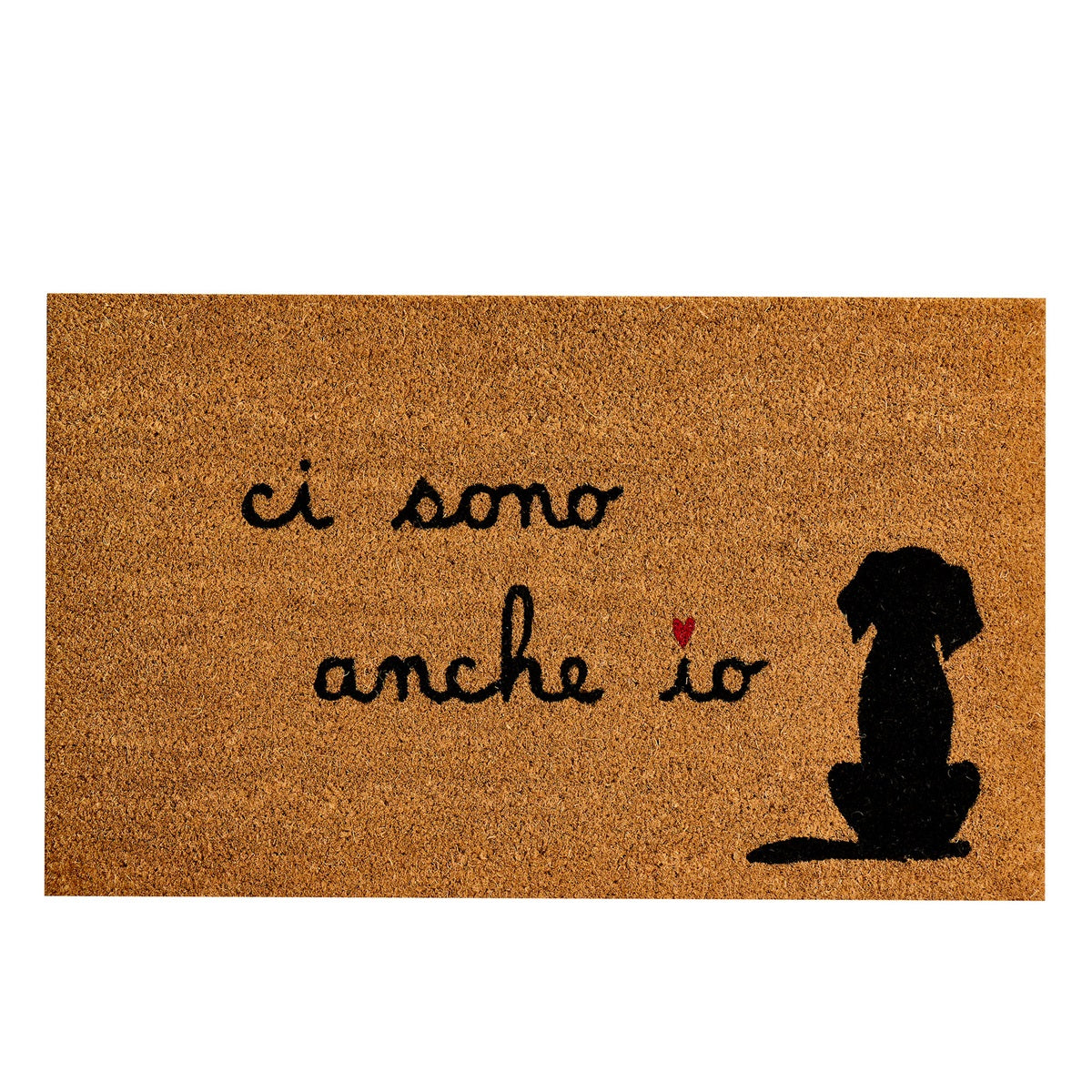 ZERBINO CI SONO ANCH'IO CANE